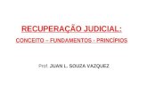 Prof. JUAN L. SOUZA VAZQUEZ RECUPERAÇÃO JUDICIAL: CONCEITO – FUNDAMENTOS - PRINCÍPIOS.