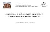 Exposições a substâncias químicas e câncer de cérebro em adultos Gina Torres Rego Monteiro MINISTÉRIO DA SAÚDE FUNDAÇÃO OSWALDO CRUZ Escola Nacional de.
