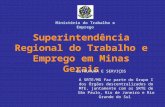 Superintendência Regional do Trabalho e Emprego em Minas Gerais ESTRUTURA E SERVIÇOS A SRTE/MG faz parte do Grupo I dos Órgãos descentralizados do MTE,