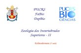 Zoologia dos Invertebrados Superiores - II PUCRS FaBio DepBio Echinodermata (1ª aula)