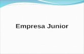 Empresa Junior. Empresa Junior é uma associação civil, sem fins lucrativos constituída por alunos de graduação e Professores que prestam serviços e desenvolve.