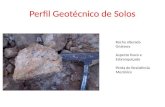 Perfil Geotécnico de Solos Rocha alterada Gnaisses Aspecto fosco e Esbranquiçado Perda de Resistência Mecânica.
