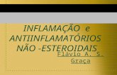 INFLAMAÇÃO e ANTIINFLAMATÓRIOS NÃO -ESTEROIDAIS Flávio A. S. Graça