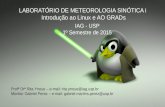LABORATÓRIO DE METEOROLOGIA SINÓTICA i Introdução ao Linux e AO GRADs Profª Drª Rita Ynoue – e-mail: rita.ynoue@iag.usp.br Monitor Gabriel Perez – e-mail: