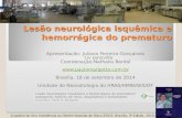 Lesão neurológica isquêmica e hemorrágica do prematuro Apresentação: Juliana Ferreira Gonçalves Liv Janoville Coordenação:Nathalia Bardal .