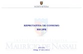 EXPECTATIVA DE CONSUMO RECIFE RECIFE PESQ. Nº 001/2014.