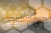 Otimização com Colônias de Formigas Giuliano Mega Márcio Akyama.