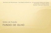 Slides de fixação Monitoria de Oftalmologia – Faculdade de Medicina – Universidade Federal do Ceará Orientador: Dr Jailton Vieira Monitor: Hermano Alexandre.