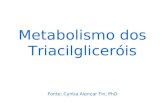 Metabolismo dos Triacilgliceróis Fonte: Cyntia Alencar Fin, PhD.