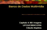 Banco de Dados Multimídia Capítulo 4: BD Imagens UFCG/CEEI/COPIN Cláudio Baptista.