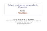 Aula de enzimas em conversão de biomassas Tema Xilanases Prof. Adriane M. F. Milagres Departamento de Biotecnologia - Escola de Engenharia de Lorena Universidade.