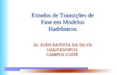 1 Estudos de Transições de Fase em Modelos Hadrônicos Dr. JOÃO BATISTA DA SILVA Dr. JOÃO BATISTA DA SILVAUAE/CES/UFCG CAMPUS CUITÉ.