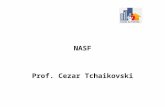 NASF Prof. Cezar Tchaikovski. NASF : As perguntas que não se calam.