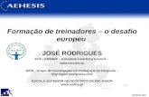 AEHESIS 2007 Formação de treinadores – o desafio europeu JOSÉ RODRIGUES ECC / ENSSEE – European Coaching Council –  GIPD - Grupo de Investigação.