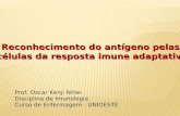 Reconhecimento do antígeno pelas células da resposta imune adaptativa Prof. Oscar Kenji Nihei Disciplina de Imunologia Curso de Enfermagem - UNIOESTE.