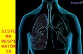 Engloba: - Vias respiratórias - Pulmões VIAS RESPIRATÓRIAS. Órgãos que conduzem o ar do exterior até aos pulmões. Funções: - Permitem o aquecimento do.