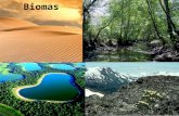 Biomas. Sistemas Ecológicos Átomo Ecossistema Comunidade População Organismo Tecidos Organela Molécula Biosfera Bioma Grupo de seres vivos que interagem.