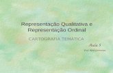 Representação Qualitativa e Representação Ordinal CARTOGRAFIA TEMÁTICA Prof. Raul Guimarães Aula 5.