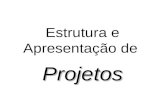 Estrutura e Apresentação de Projetos. CICLO DA PESQUISA.