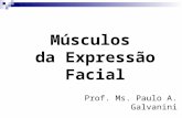Músculos da Expressão Facial Prof. Ms. Paulo A. Galvanini.