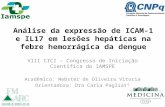 Análise da expressão de ICAM-1 e IL17 em lesões hepáticas na febre hemorrágica da dengue VIII CICI – Congresso de Iniciação Científica do IAMSPE Acadêmico: