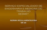 SERVIÇO ESPECIALIZADO DE ENGENHARIA E MEDICINA DO TRABALHO SESMET NORMA REGULAMENTADORA NR 04.