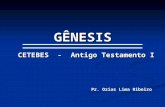 GÊNESIS CETEBES - Antigo Testamento I Pr. Ozias Lima Ribeiro.