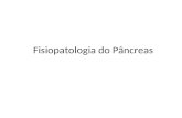 Fisiopatologia do Pâncreas. Anatomia do Pâncreas.