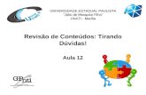 Revisão de Conteúdos: Tirando Dúvidas! Aula 12 UNIVERSIDADE ESTADUAL PAULISTA “Júlio de Mesquita Filho” UNATI - Marília.