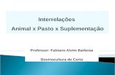 Professor: Fabiano Alvim Barbosa Bovinocultura de Corte Interrelações Animal x Pasto x Suplementação.