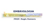 EMBRIOLOGIA PROF. Regis Romero. EMBRIOLOGIA Definições Tipos de Óvulos Tipos de Clivagens Embriogênese Destino dos folhetos Classificação embriológica.