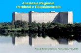 Anestesia Regional Peridural e Raquianestesia Prof.a: Fátima Carneiro Fernandes, TSA/SBA.
