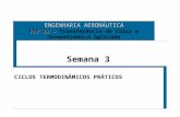ENGENHARIA AERONÁUTICA PRP 28 – PRP 28 – Transferência de Calor e Termodinâmica Aplicada CICLOS TERMODINÂMICOS PRÁTICOS Semana 3.