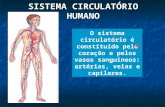 SISTEMA CIRCULATÓRIO HUMANO O sistema circulatório é constituído pelo coração e pelos vasos sanguíneos: artérias, veias e capilares.