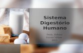 Sistema Digestório Humano Profa. Debora Escola Villare 2015.