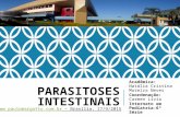 PARASITOSES INTESTINAIS Acadêmica: Natália Cristina Moreira Neves Coordenação: Carmen Lívia Internato em Pediatria- 6ª Série .