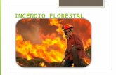 INCÊNDIO FLORESTAL. Formação e Treinamento de Brigada de Incêndio Florestal SGT DELFINO.