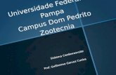 Universidade Federal do Pampa Campus Dom Pedrito Zootecnia Sistema Cardiovascular Prof. Guilherme Garcez Cunha.