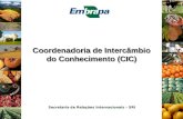 Coordenadoria de Intercâmbio do Conhecimento (CIC) Secretaria de Relações Internacionais – SRI.