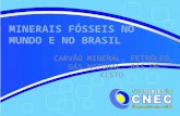 MINERAIS FÓSSEIS NO MUNDO E NO BRASIL CARVÃO MINERAL, PETRÓLEO, GÁS NATURAL, GÁS DE XISTO.