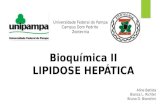 Universidade Federal do Pampa Campus Dom Pedrito Zootecnia Bioquímica II LIPIDOSE HEPÁTICA Aline Batista Bianca L. Richter Bruno D. Bianchini.