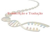 Transcrição e Tradução. RNA TRANSPORTADOR CÓDIGO GENÉTICO A relação entre a seqüência de bases no DNA e a seqüência correspondente de aminoácidos,
