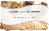 CLICK AQUI CONTROLE DE ORÇAMENTO AUDITORIA CONTÁBIL.
