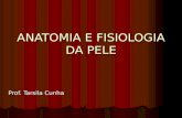 ANATOMIA E FISIOLOGIA DA PELE Prof. Tarsila Cunha.