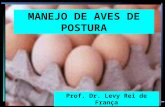 MANEJO DE AVES DE POSTURA Prof. Dr. Levy Rei de França.