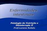Enfermidades intestinais Patologia da Nutrição e Dietoterapia II Prof.Luciene Rabelo.