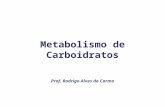 Metabolismo de Carboidratos Prof. Rodrigo Alves do Carmo.