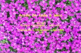 Acima de tudo o amor Música Richard Clayderman – Solitaire Elaboração e formatação – Ago/2009 - LhT.