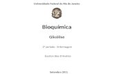 Universidade Federal do Rio de Janeiro Bioquímica Glicólise Éverton Dias D’Andréa 2º período - Enfermagem Setembro 2011.