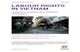 Labour Rights in Vietnam: Unilever’s progress and systemic challenges